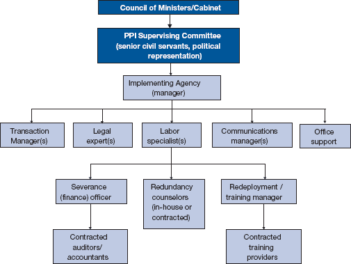 Figure 1.1: Organization Chart for a PPI Team (Sample)